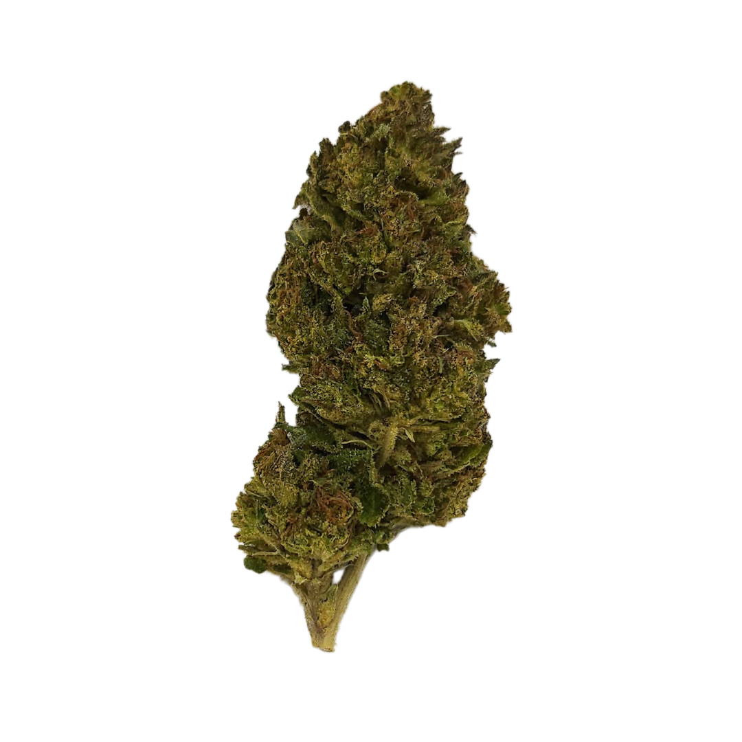 Blue cheese thca flower 23 46 highly potent delta 2 day thc