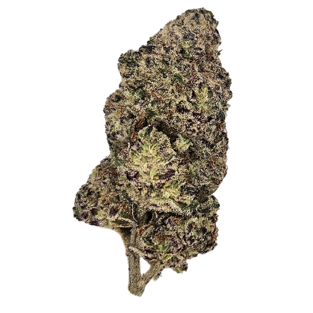 Future Haze THCA Flower 31 20 INSANELY Potent Delta 2 Day THC future-haze-thca-flower-31-20-insanely-potent-delta-2-day-thc
